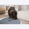 Trixie TX4+1 Automatic Food Dispenser For Dogs & Cats - White & Grey
