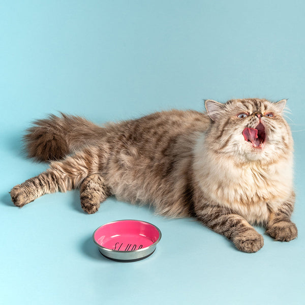 HUFT Cutest Collection Slurp Kitten Bowl - Pink