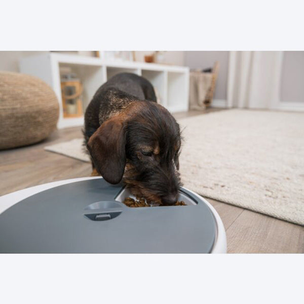 Trixie TX4+1 Automatic Food Dispenser For Dogs & Cats - White & Grey