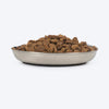 HUFT Meowlicious Classic Steel Bowl For Cat